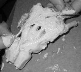 Corpsilate Tutorial Image 11