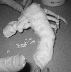 Corpsilate Tutorial Image 5