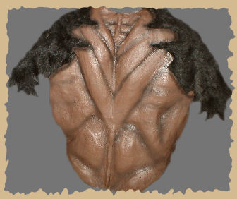 Werewolf Chest Back