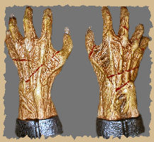 Zombie Hands